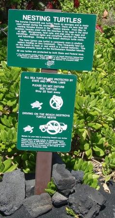 Punaluu Beach Hawaii sign to protect turtles